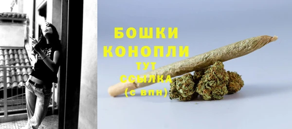 бошки Белокуриха