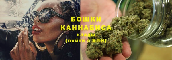 бошки Белокуриха
